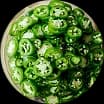Fresh Jalapeños