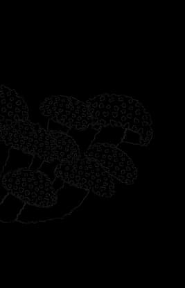 Decorative mushroom image