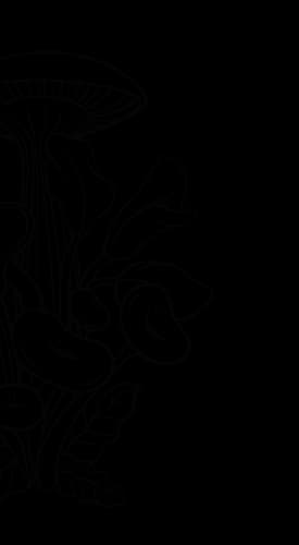 Background image with mushrooms