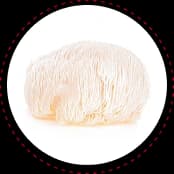 Truffle fries with Lion’s Mane and Heat N Honey.