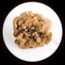 Maitake